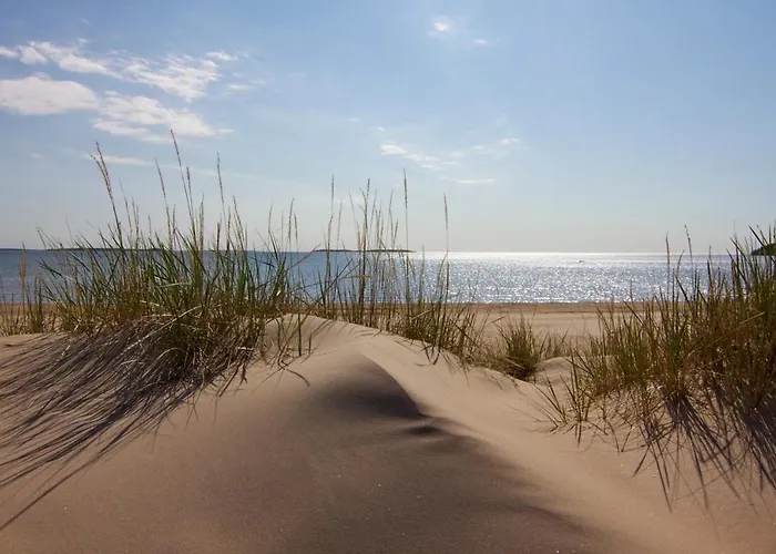 فندق Yyteri بوري